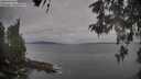 ./images/koeye/fitz-hugh/20260513/fitz-hugh20260513_080502M.jpg