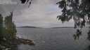 ./images/koeye/fitz-hugh/20260513/fitz-hugh20260513_083501M.jpg