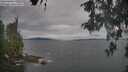 ./images/koeye/fitz-hugh/20260513/fitz-hugh20260513_091501M.jpg