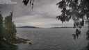 ./images/koeye/fitz-hugh/20260513/fitz-hugh20260513_094001M.jpg