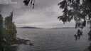 ./images/koeye/fitz-hugh/20260513/fitz-hugh20260513_094501M.jpg