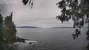 ./images/koeye/fitz-hugh/20260513/fitz-hugh20260513_100001M.jpg