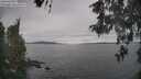 ./images/koeye/fitz-hugh/20260513/fitz-hugh20260513_102501M.jpg