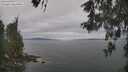 ./images/koeye/fitz-hugh/20260513/fitz-hugh20260513_104001M.jpg