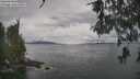 ./images/koeye/fitz-hugh/20260513/fitz-hugh20260513_113001M.jpg