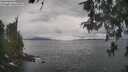 ./images/koeye/fitz-hugh/20260513/fitz-hugh20260513_113501M.jpg