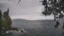 ./images/koeye/fitz-hugh/20260513/fitz-hugh20260513_115002M.jpg