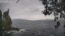 ./images/koeye/fitz-hugh/20260513/fitz-hugh20260513_115501M.jpg