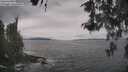 ./images/koeye/fitz-hugh/20260513/fitz-hugh20260513_125002M.jpg