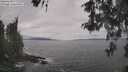 ./images/koeye/fitz-hugh/20260513/fitz-hugh20260513_130001M.jpg