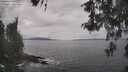 ./images/koeye/fitz-hugh/20260513/fitz-hugh20260513_130501M.jpg