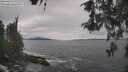 ./images/koeye/fitz-hugh/20260513/fitz-hugh20260513_132502M.jpg