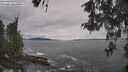 ./images/koeye/fitz-hugh/20260513/fitz-hugh20260513_134001M.jpg