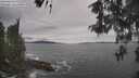 ./images/koeye/fitz-hugh/20260513/fitz-hugh20260513_134501M.jpg
