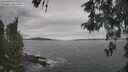 ./images/koeye/fitz-hugh/20260513/fitz-hugh20260513_135501M.jpg