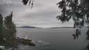 ./images/koeye/fitz-hugh/20260513/fitz-hugh20260513_140001M.jpg
