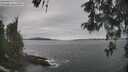 ./images/koeye/fitz-hugh/20260513/fitz-hugh20260513_140501M.jpg