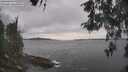 ./images/koeye/fitz-hugh/20260513/fitz-hugh20260513_152502M.jpg