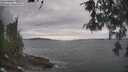 ./images/koeye/fitz-hugh/20260513/fitz-hugh20260513_154001M.jpg