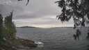 ./images/koeye/fitz-hugh/20260513/fitz-hugh20260513_160501M.jpg