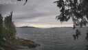 ./images/koeye/fitz-hugh/20260513/fitz-hugh20260513_161502M.jpg