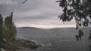 ./images/koeye/fitz-hugh/20260513/fitz-hugh20260513_162501M.jpg