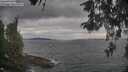 ./images/koeye/fitz-hugh/20260513/fitz-hugh20260513_183001M.jpg