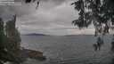 ./images/koeye/fitz-hugh/20260513/fitz-hugh20260513_183501M.jpg