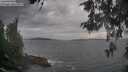 ./images/koeye/fitz-hugh/20260513/fitz-hugh20260513_184001M.jpg