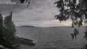 ./images/koeye/fitz-hugh/20260513/fitz-hugh20260513_185001M.jpg