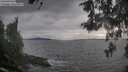 ./images/koeye/fitz-hugh/20260513/fitz-hugh20260513_185502M.jpg