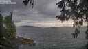 ./images/koeye/fitz-hugh/20260513/fitz-hugh20260513_190501M.jpg