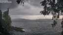 ./images/koeye/fitz-hugh/20260513/fitz-hugh20260513_192502M.jpg