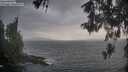 ./images/koeye/fitz-hugh/20260513/fitz-hugh20260513_194001M.jpg