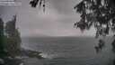 ./images/koeye/fitz-hugh/20260513/fitz-hugh20260513_195001M.jpg