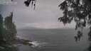 ./images/koeye/fitz-hugh/20260513/fitz-hugh20260513_195501M.jpg