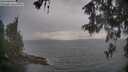 ./images/koeye/fitz-hugh/20260513/fitz-hugh20260513_200001M.jpg