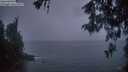 ./images/koeye/fitz-hugh/20260513/fitz-hugh20260513_214002M.jpg