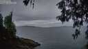./images/koeye/fitz-hugh/20260514/fitz-hugh20260514_052001M.jpg