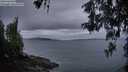 ./images/koeye/fitz-hugh/20260514/fitz-hugh20260514_052501M.jpg