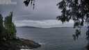 ./images/koeye/fitz-hugh/20260514/fitz-hugh20260514_053501M.jpg