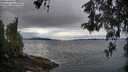 ./images/koeye/fitz-hugh/20260514/fitz-hugh20260514_061001M.jpg