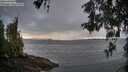 ./images/koeye/fitz-hugh/20260514/fitz-hugh20260514_064002M.jpg