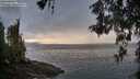 ./images/koeye/fitz-hugh/20260514/fitz-hugh20260514_064501M.jpg
