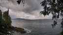 ./images/koeye/fitz-hugh/20260514/fitz-hugh20260514_082501M.jpg