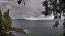 ./images/koeye/fitz-hugh/20260514/fitz-hugh20260514_085501M.jpg