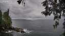 ./images/koeye/fitz-hugh/20260514/fitz-hugh20260514_093001M.jpg
