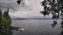 ./images/koeye/fitz-hugh/20260514/fitz-hugh20260514_103001M.jpg