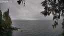 ./images/koeye/fitz-hugh/20260514/fitz-hugh20260514_111501M.jpg