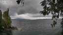 ./images/koeye/fitz-hugh/20260514/fitz-hugh20260514_115001M.jpg